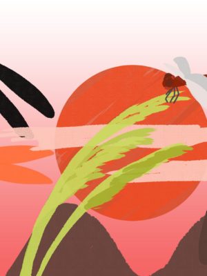 今月のコメント